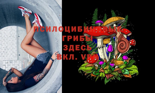 apvp Балабаново